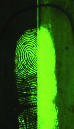 Green Fingerprint 5.jpg